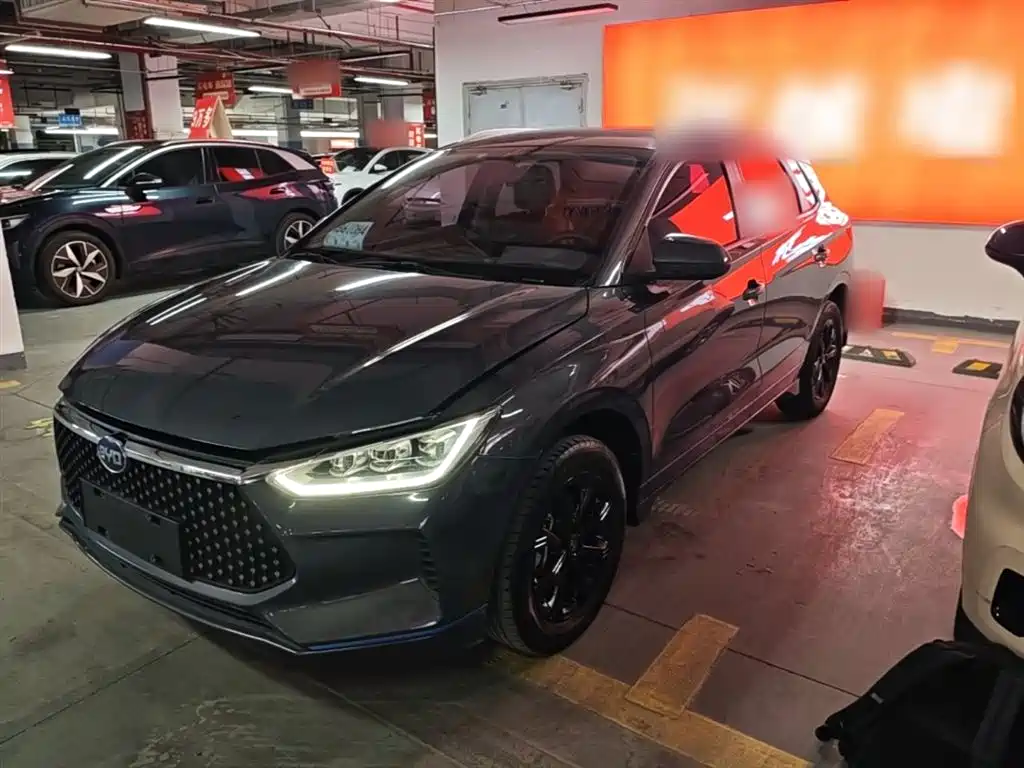 BYD e2 2021 Luxury Edition