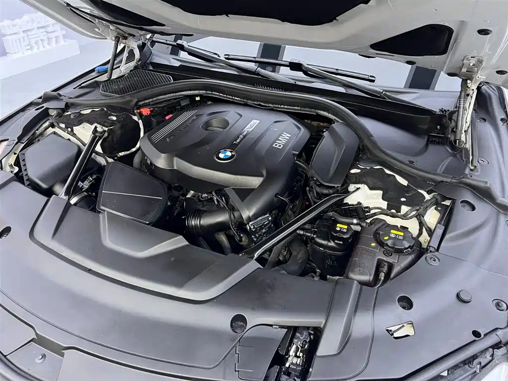 BMW 7 Series 2018 730Li Leading Type Excellence Package фото 27