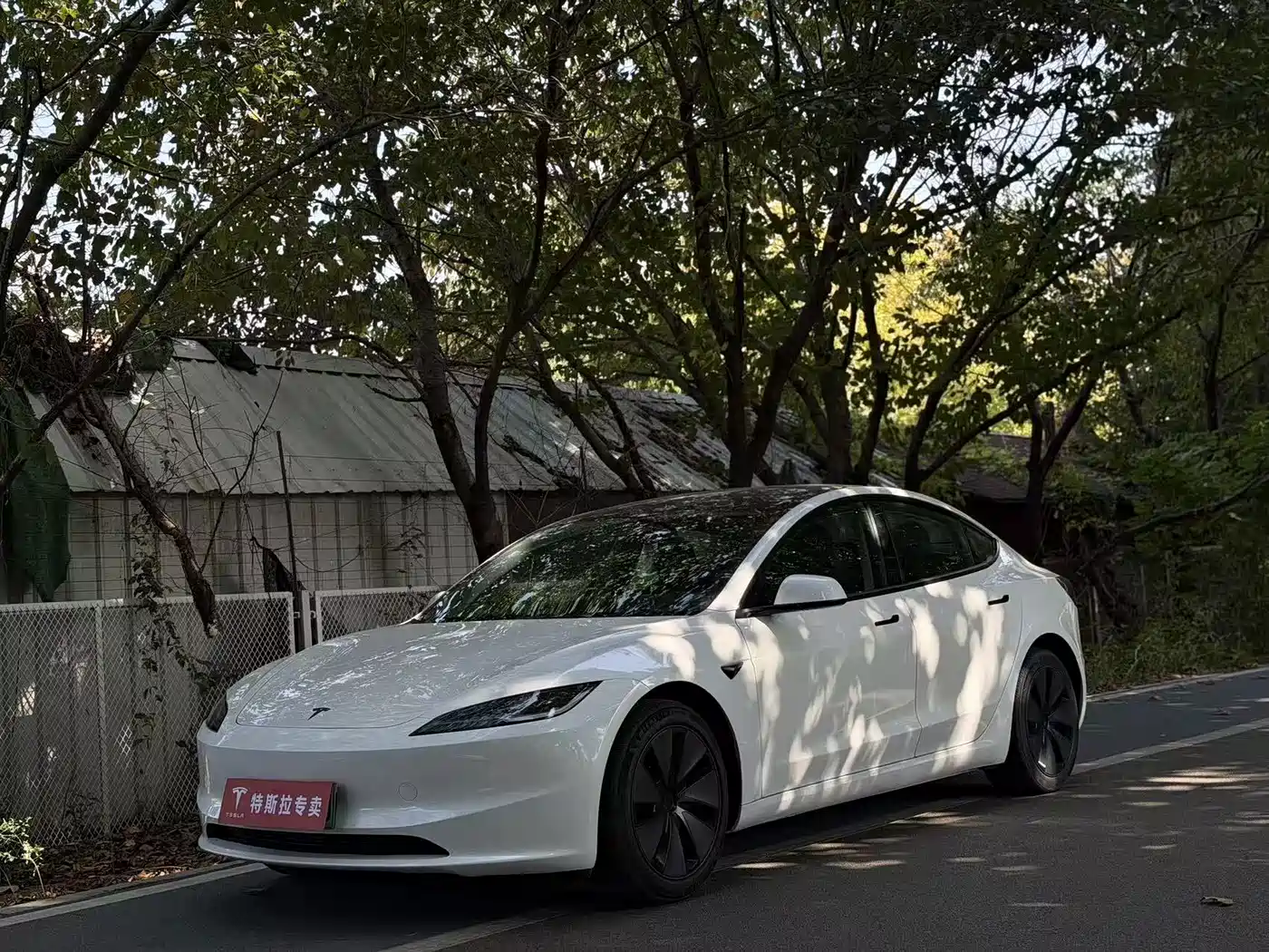 Tesla Model 3 2025 Model Rear-Wheel Drive Edition