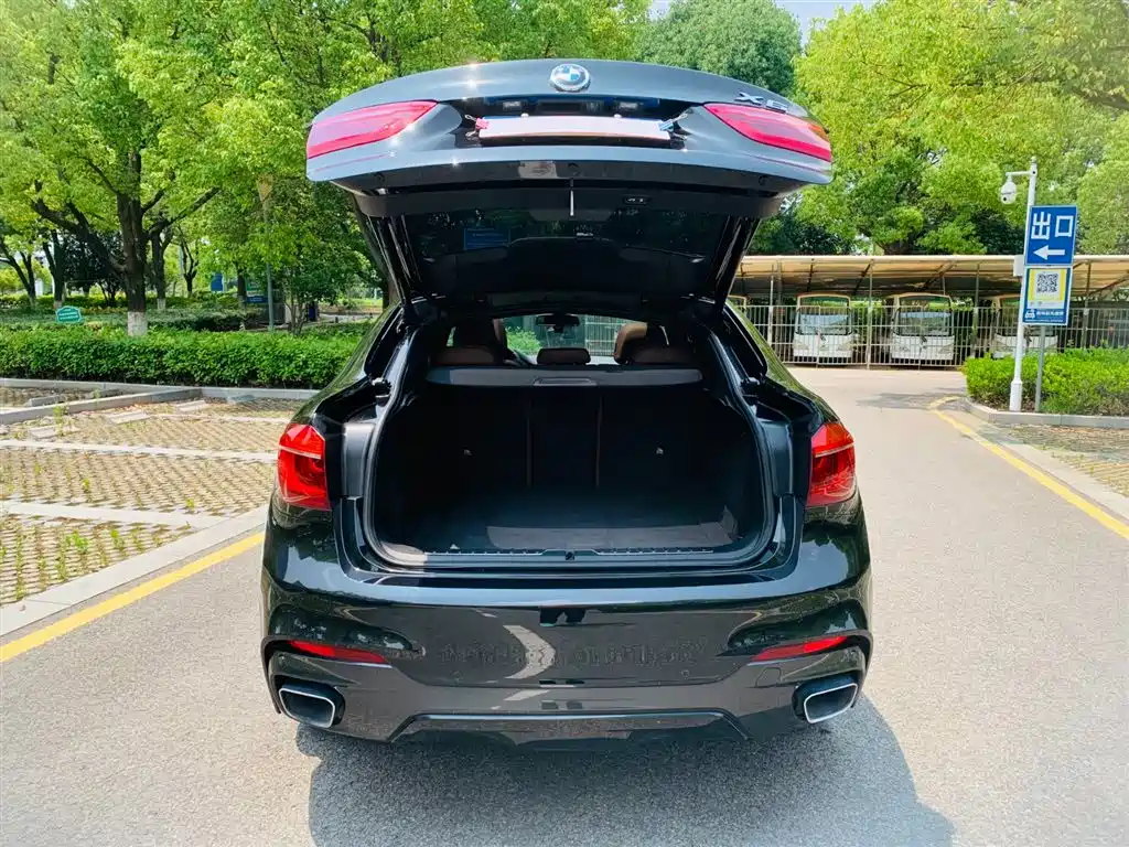 BMW X6 2018 xDrive35i M Sport Luxury Model фото 23