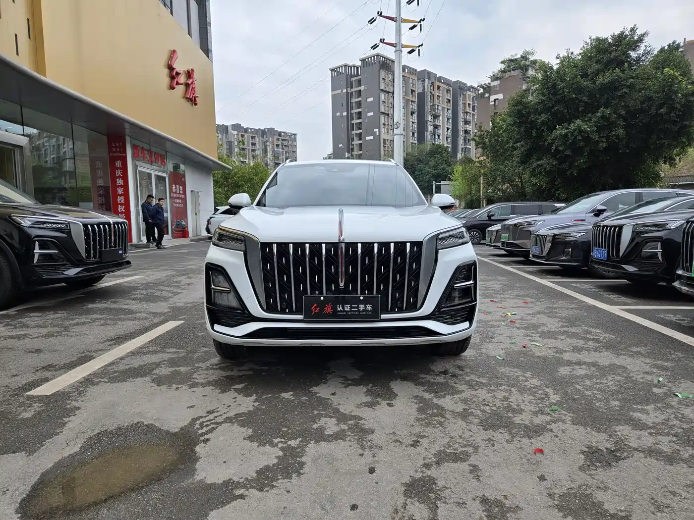 Hongqi HS5 2023 2.0T 4WD Flag Leader Pro фото 2