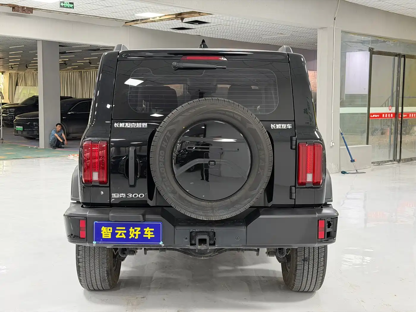 Tank 300 2023 Off-Road Edition 2.0T Conqueror фото 8