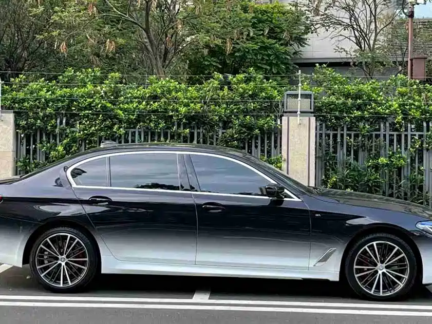 BMW 5 Series 2020 530Li Leading M Sport Package фото 4