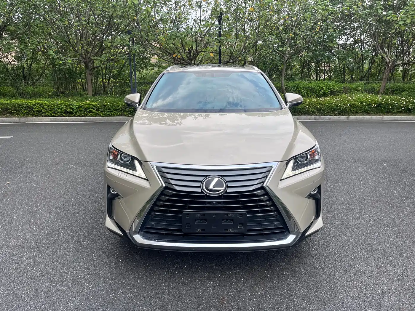 LEXUS RX