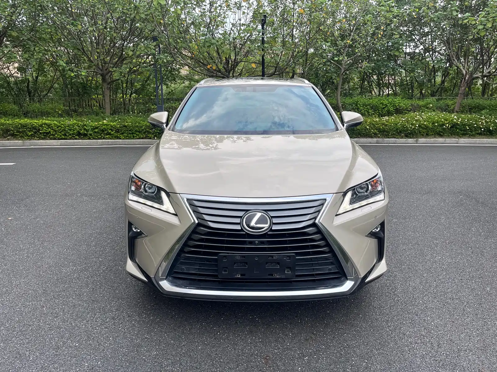 Photo 2 - Lexus RX