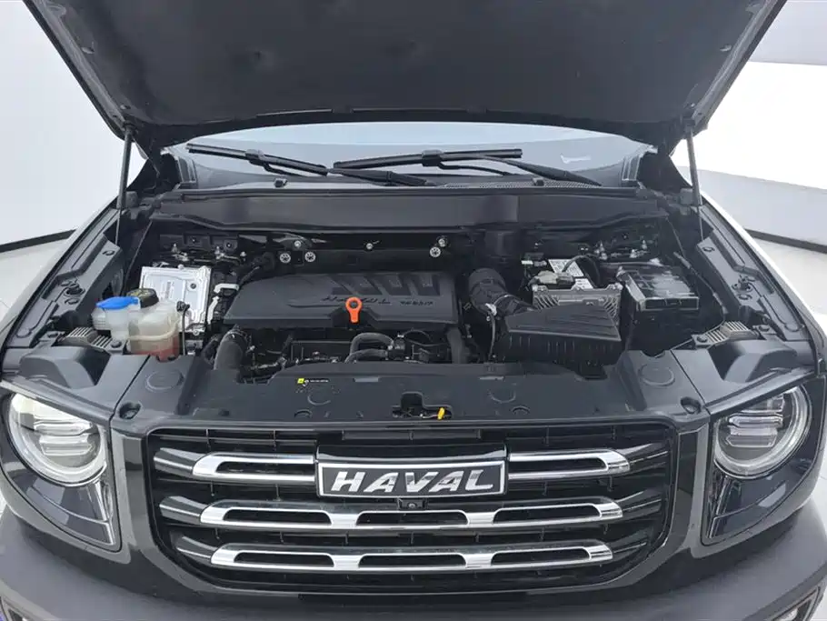 Haval Big Dog 2021 1.5T DCT 2WD Border Collie Edition фото 10