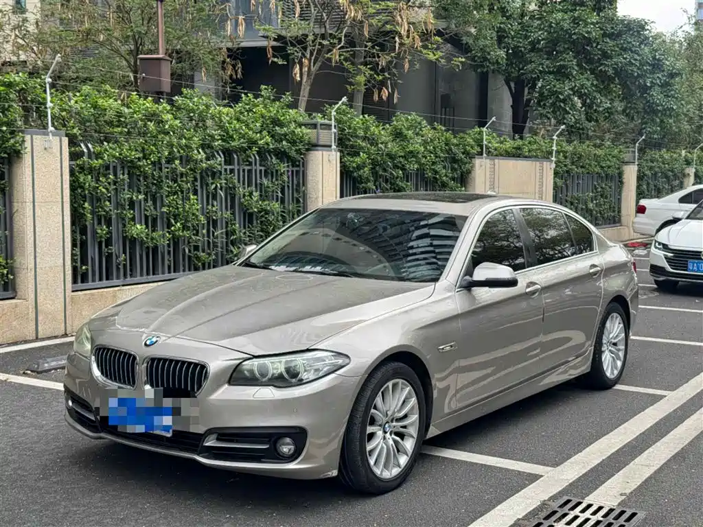 BMW 5 Series 2014 520Li Elegance