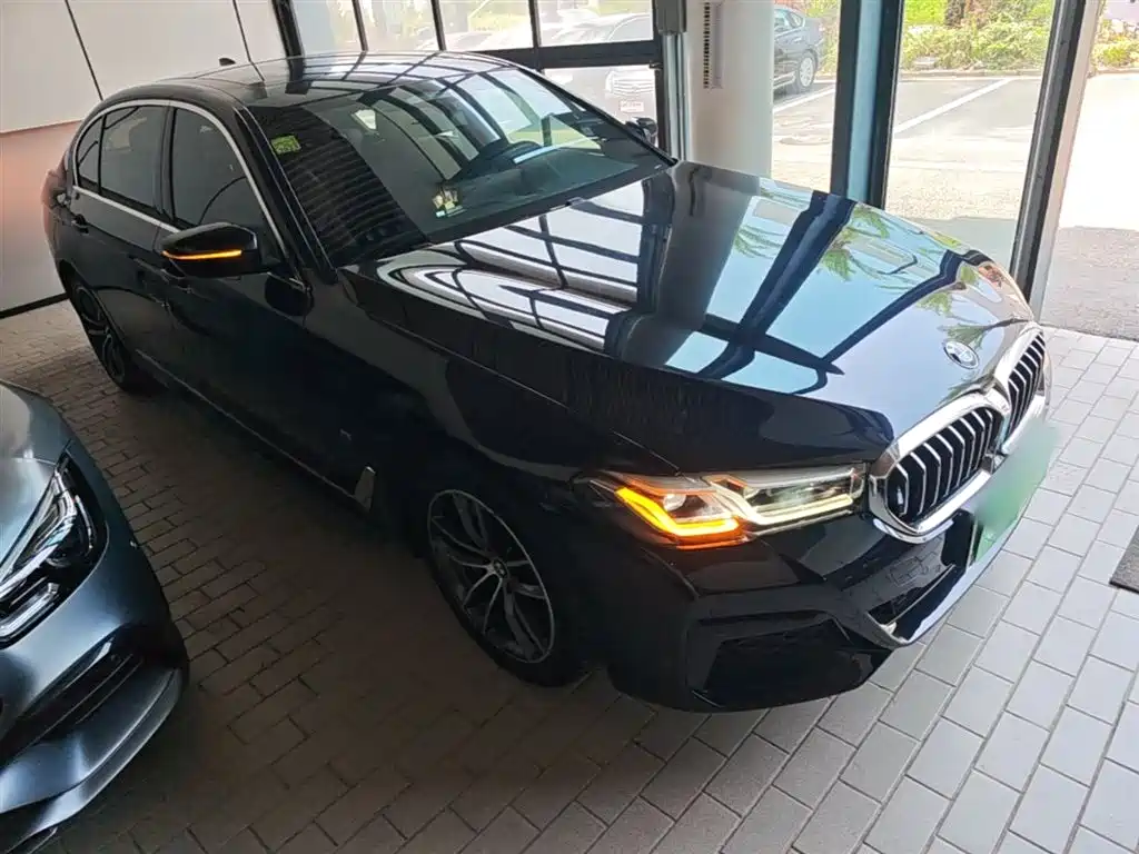 BMW 5 Series New Energy 2021 535Le Pioneer Edition M Sport Package фото 4