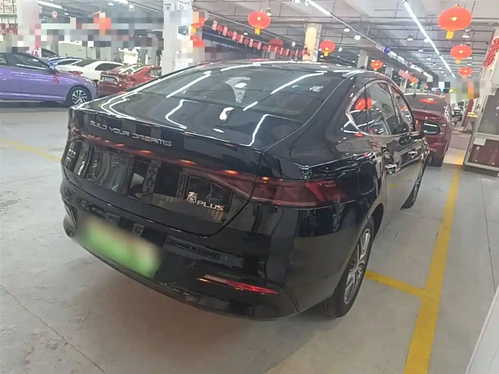 BYD Qin PLUS 2021 DM-i 55KM Flagship фото 6
