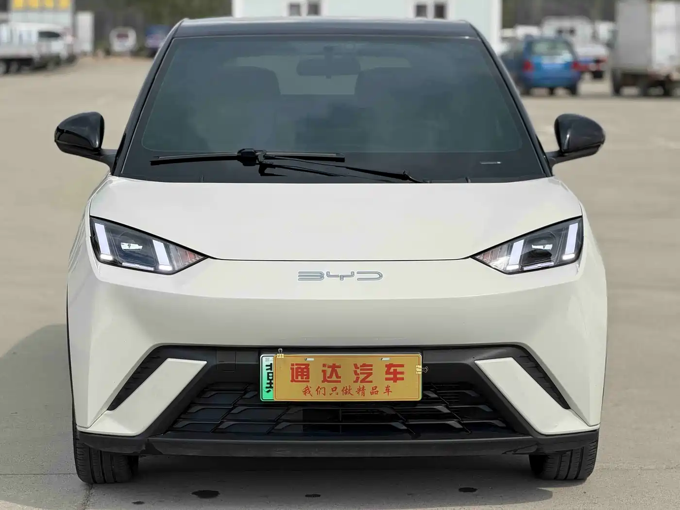 BYD Seagull 2023 Flying Edition фото 3