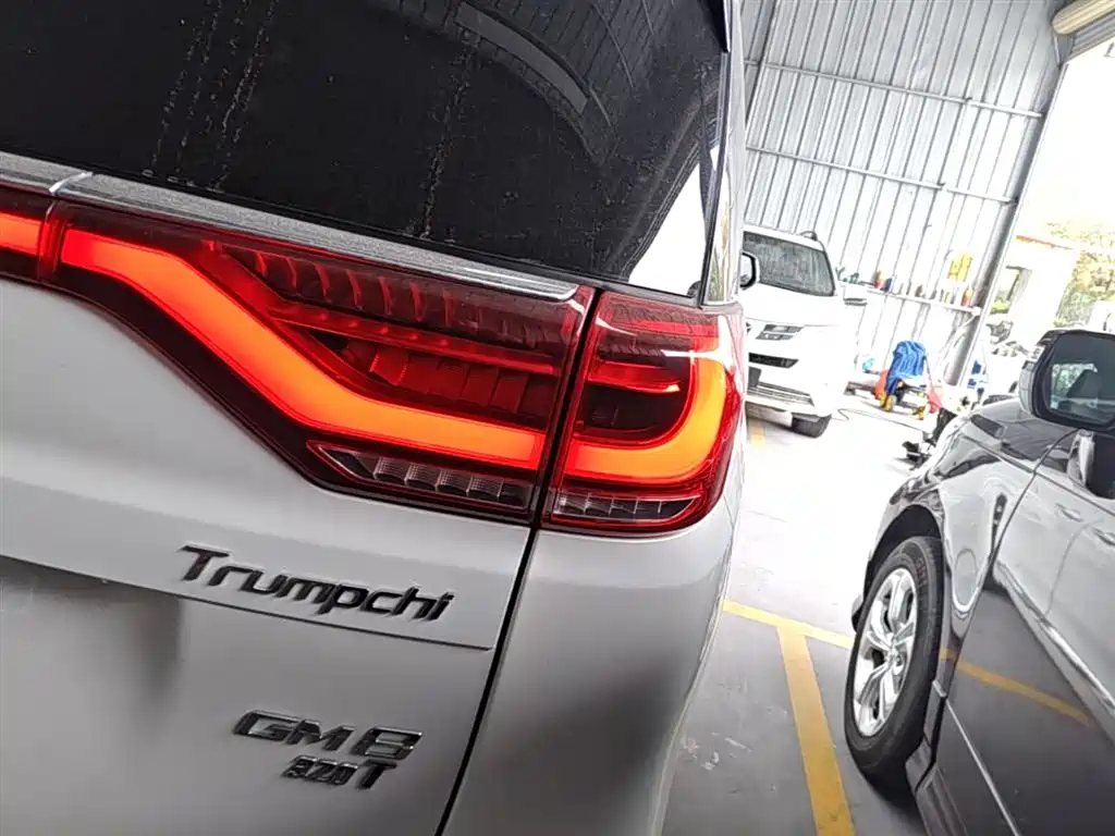 GAC Trumpchi Trumpchi M8 2018 320T Flagship Edition фото 8