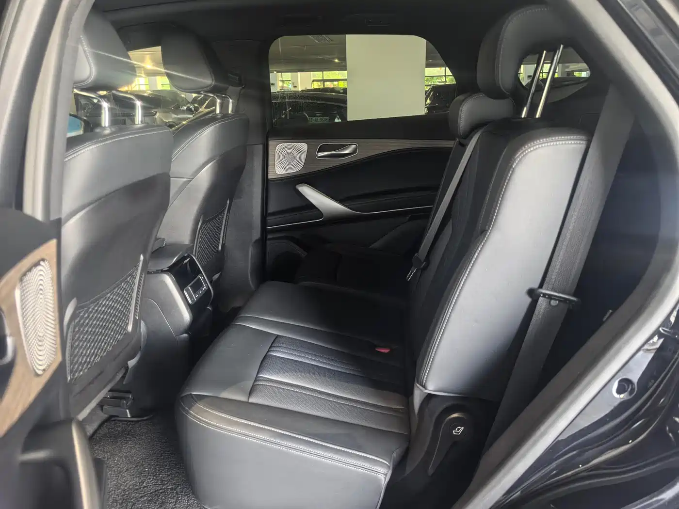 Denza X 2020 PHEV Classic Edition фото 6
