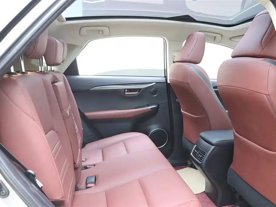 Lexus NX 2015 300h AWD F SPORT фото 16