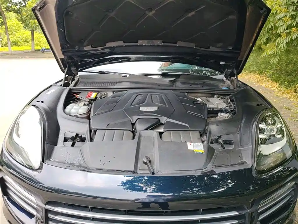 Porsche Cayenne 2019 Cayenne 3.0T фото 20