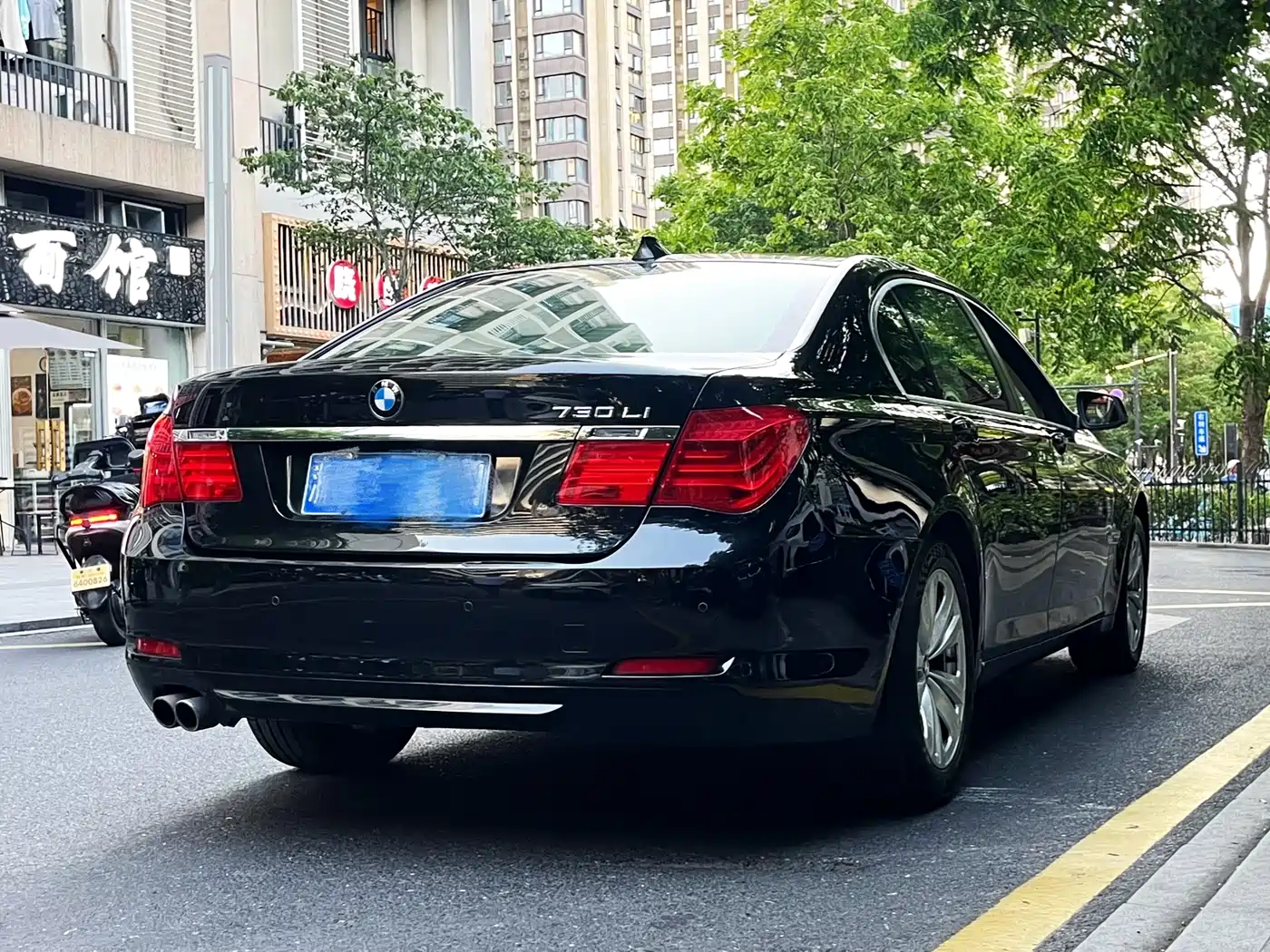BMW 7 Series 2009 730Li Leading фото 6