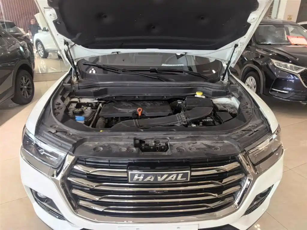 Haval H6 2021 National Trend Edition 1.5GDIT Automatic Champion Edition фото 20