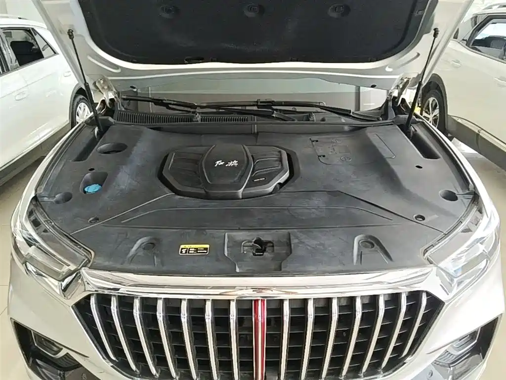 Hongqi HS5 2019 2.0T Smart Connect Enjoy Edition фото 20