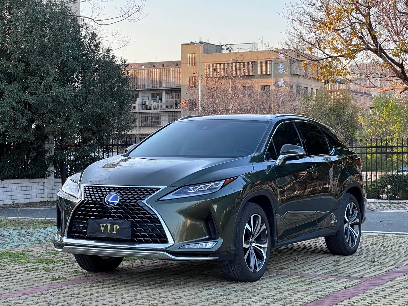 Фото 1 - Lexus RX