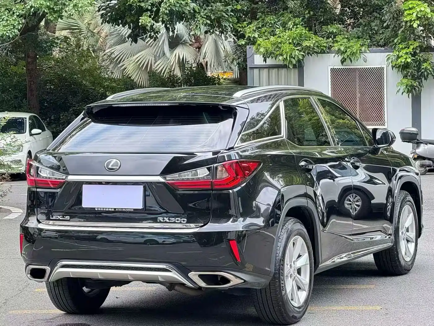 LEXUS RX