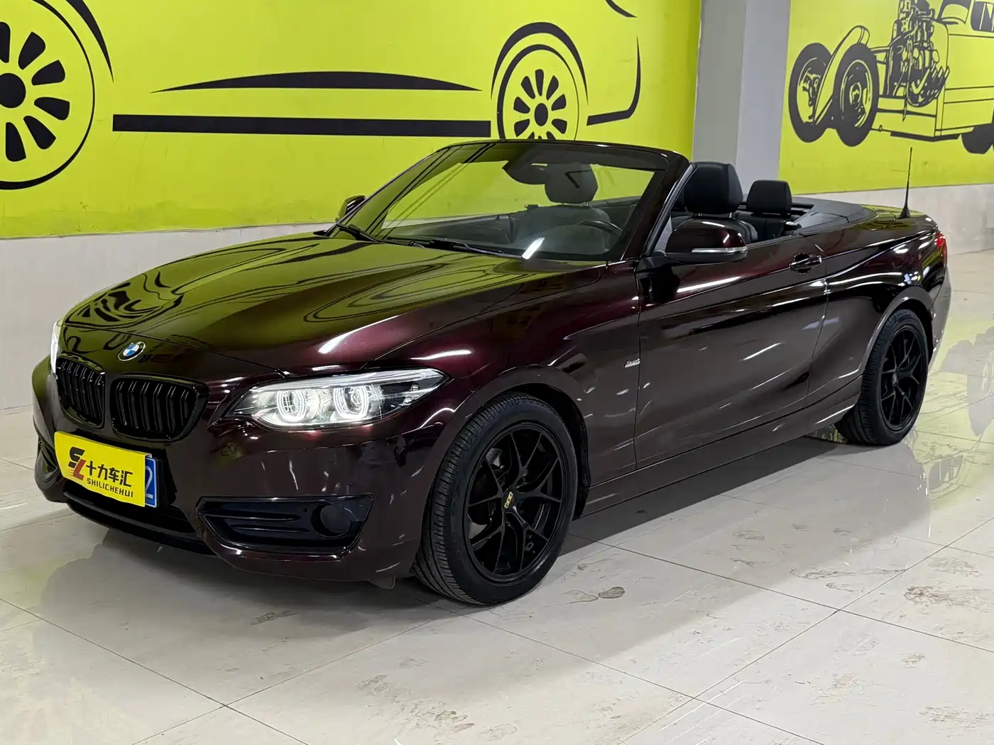 BMW 2 Series (Import) 2018 220i Convertible Coupe Sport Design Package фото 7