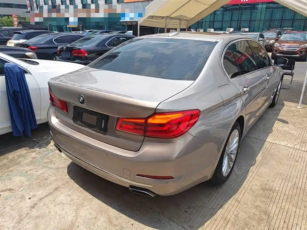 BMW 5 Series 2018 Facelift 530Li Leading Luxury Package фото 7
