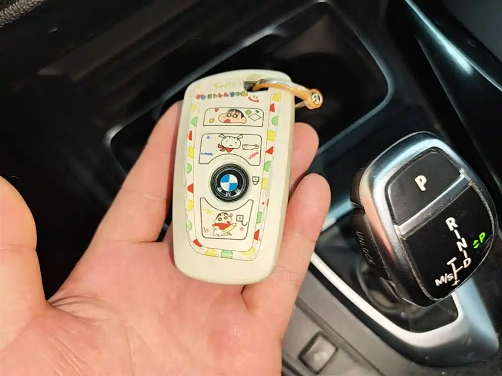 BMW 3 Series 2018 320Li Leading M Sport Package фото 9