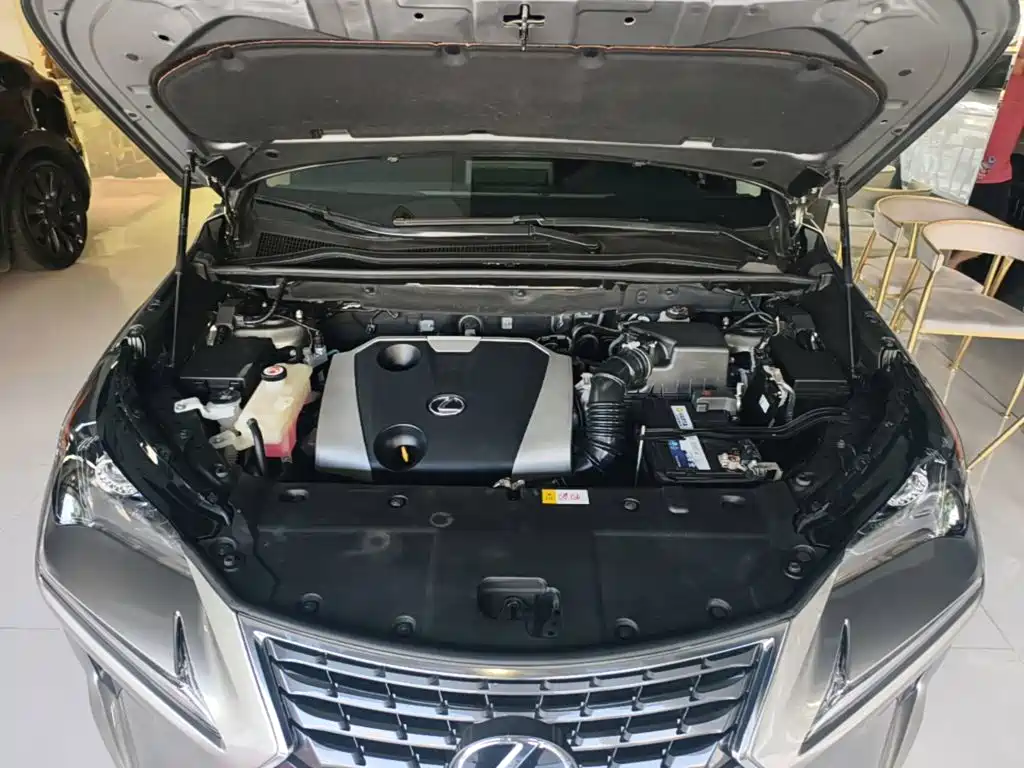 Фото 20 - Lexus NX