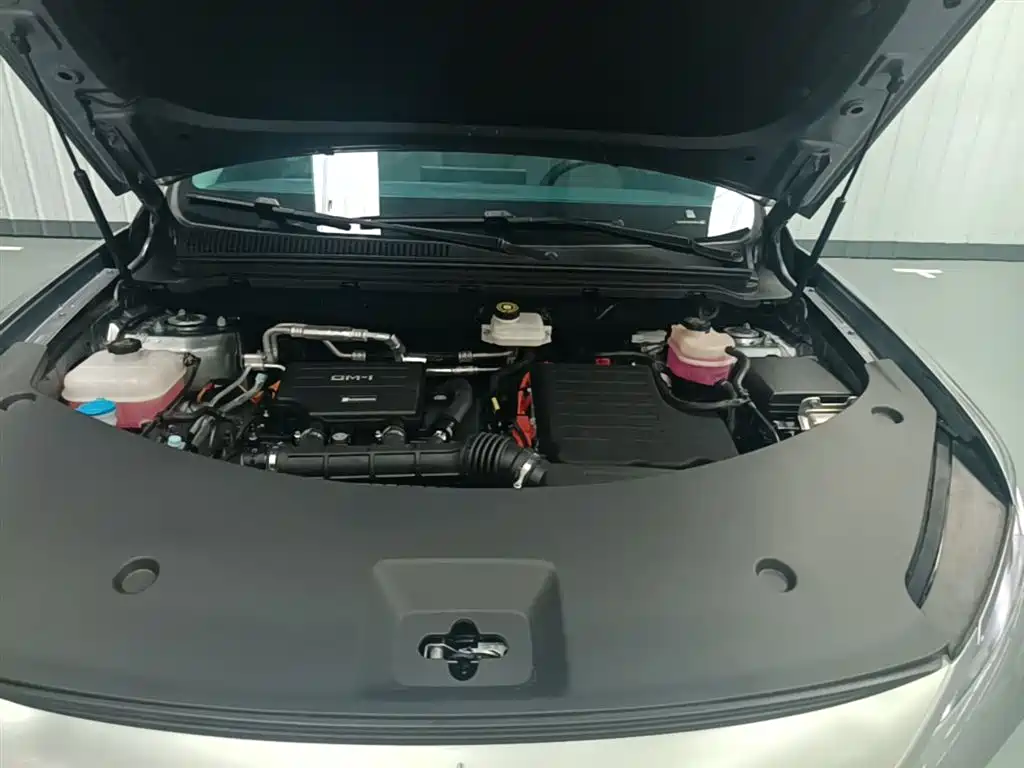 BYD Song Pro New Energy 2025 2nd Gen DM-i 75KM Surpass фото 19