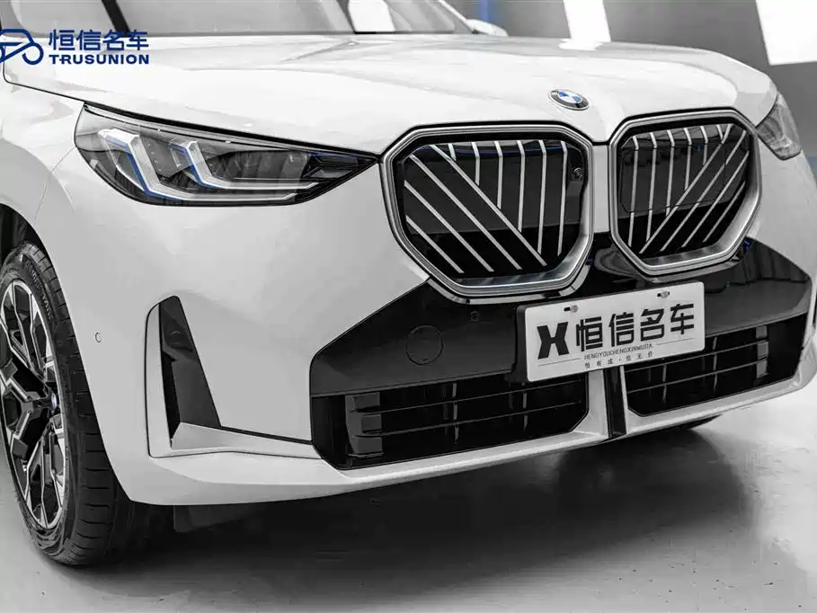 BMW X3 2025 xDrive30L Premium M Sport Package фото 9