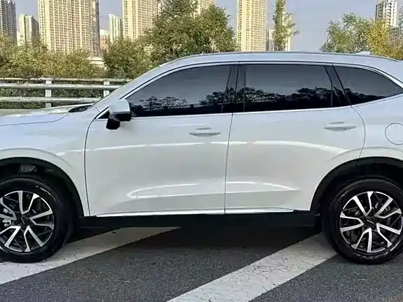 Haval H6 2022 3rd Gen 1.5T Auto 2WD Pro фото 10
