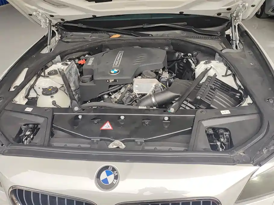 BMW 5 Series 2017 525Li Luxury Design Package фото 10