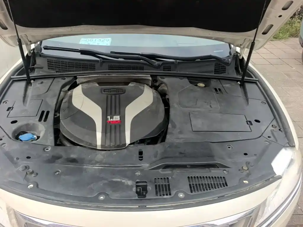 Photo 16 - Geely Borui