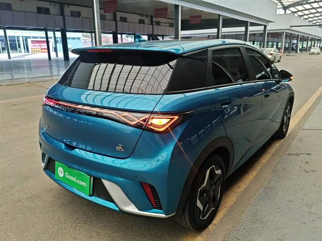 BYD Dolphin 2021 Model 405km Fashion Edition фото 7