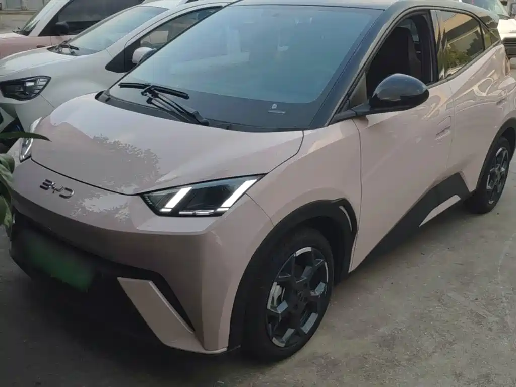 BYD Seagull 2024 Glory Edition 305km Freedom Edition фото 2