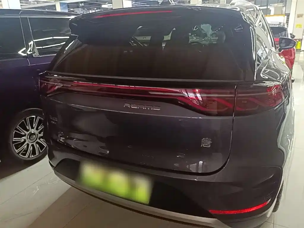 BYD Tang New Energy 2024 DM-i Glory Edition 112KM Deluxe фото 6