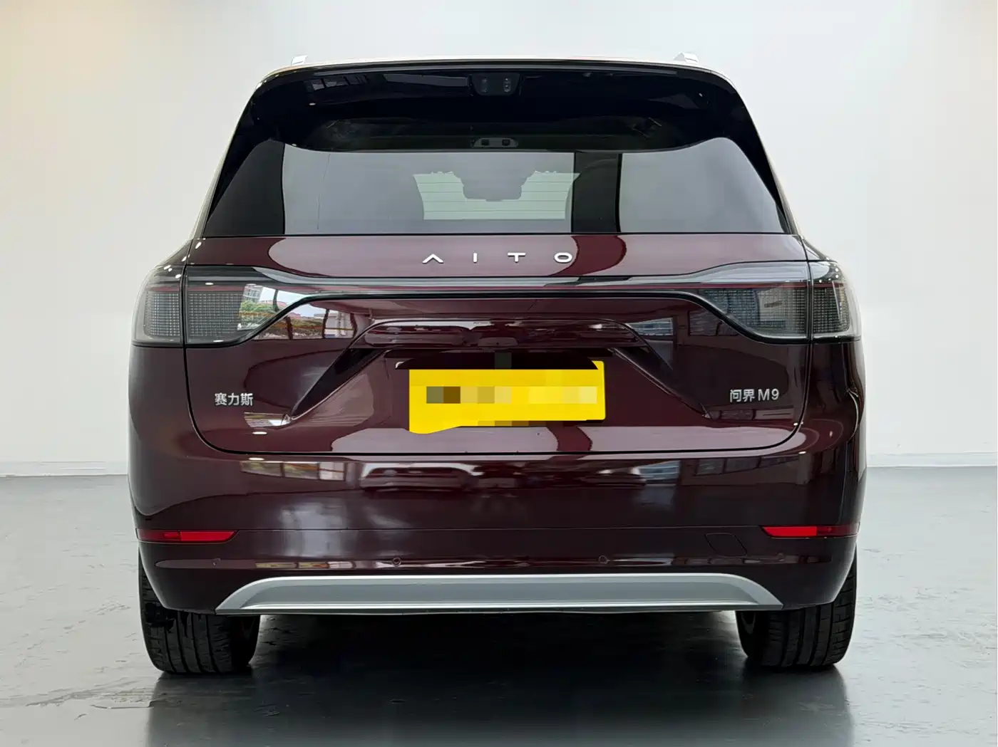 AITO Wenjie AITO M9 2025 Pure Electric Ultra 100kWh 6-Seater фото 5