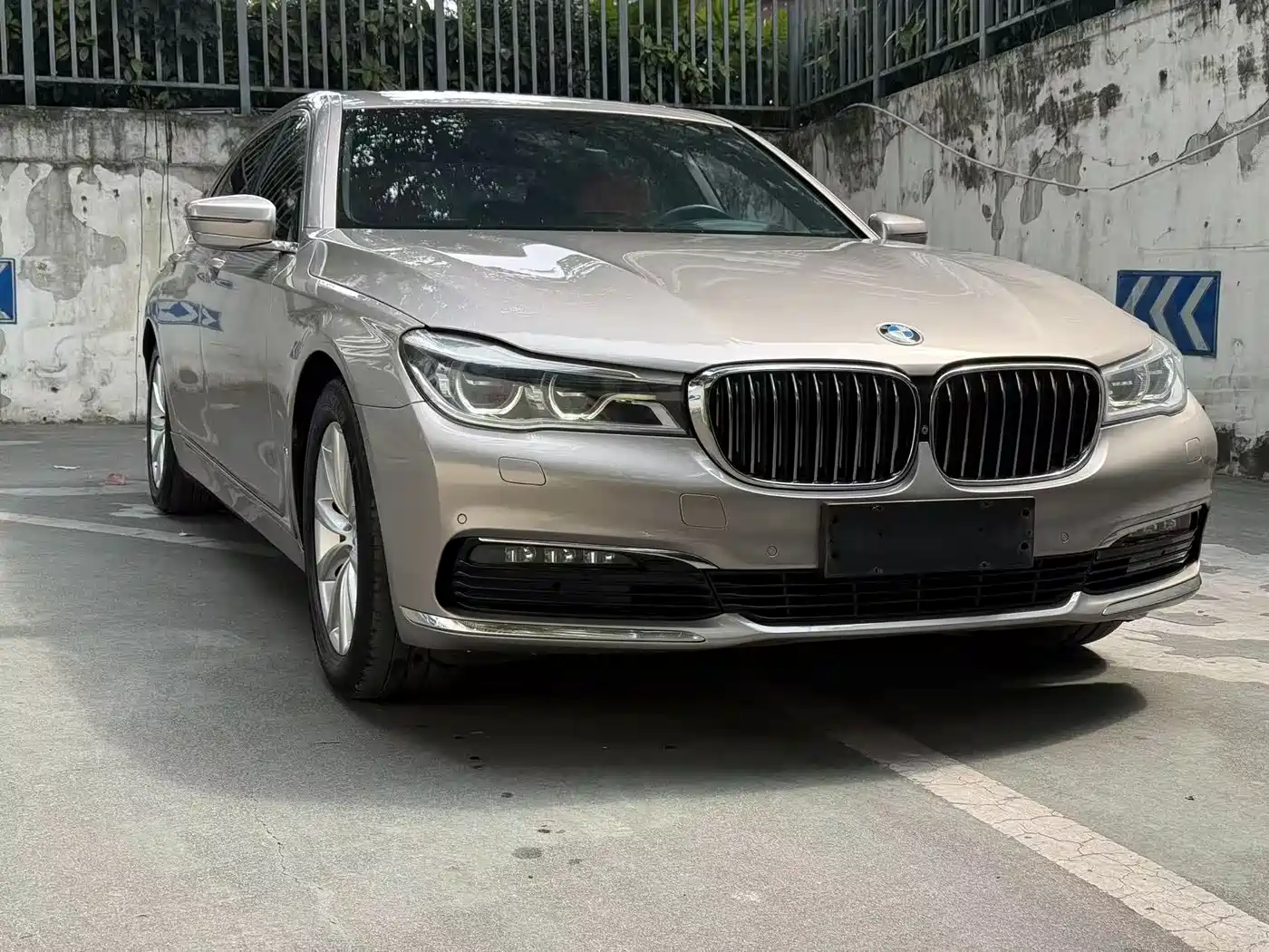 BMW 7 Series 2016 730Li Luxury фото 3