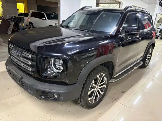 Haval Big Dog 2021 1.5T DCT 2WD Border Collie Edition