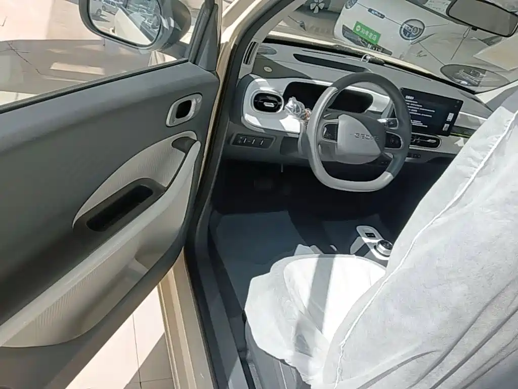 Geely Galaxy Panda 2026 2025 Panda mini 210km Vitality Bear