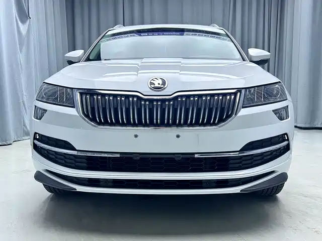 Škoda Karoq 2023 TSI280 Premium Edition — фото 2