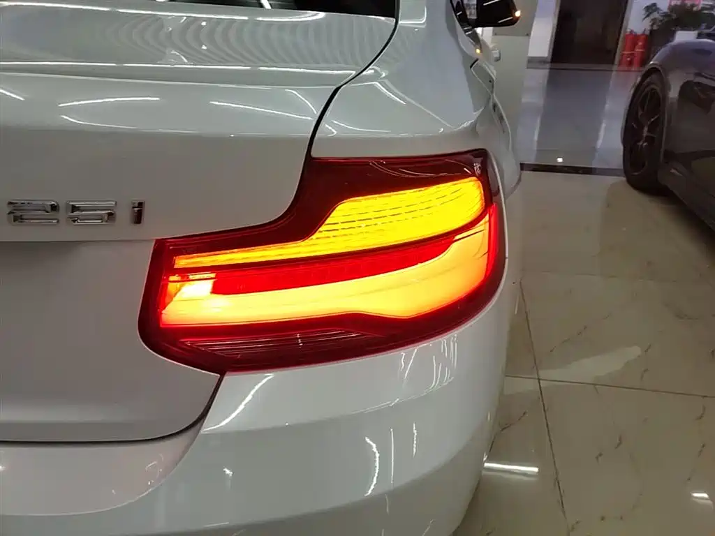 BMW 2 Series (Import) 2019 225i Sport Design Package фото 8