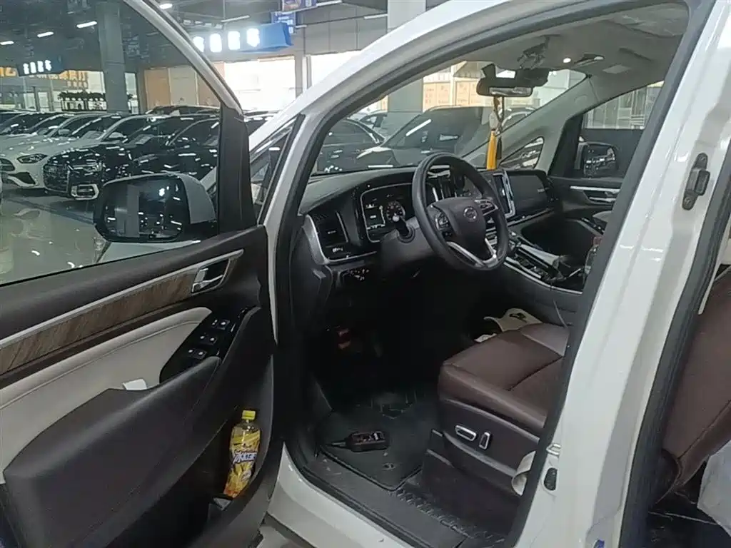 GAC Trumpchi Trumpchi M8 2021 Leading Show Series 390T Luxury Edition фото 16