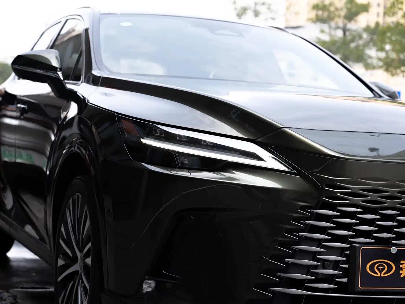 Lexus RX New Energy 2023 450h+ 4WD Enjoyment фото 6