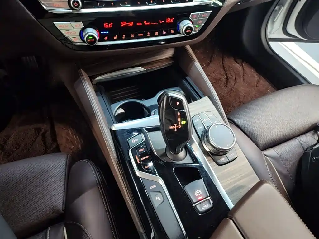 BMW 5 Series New Energy 2019 530Le Luxury Package фото 14