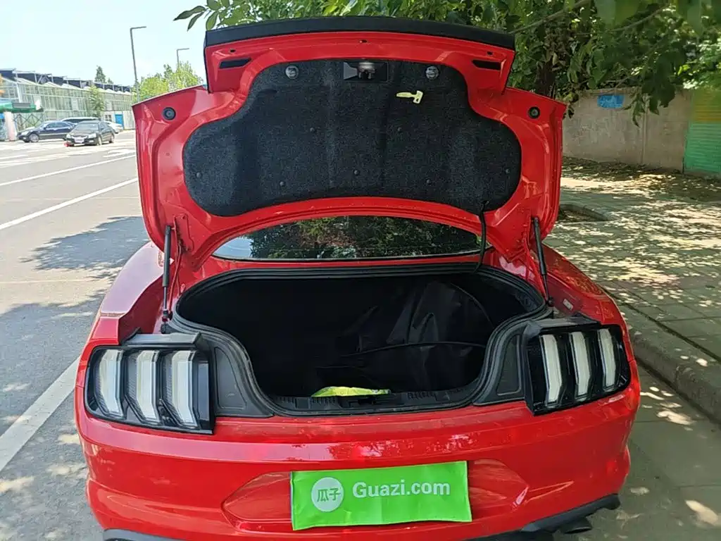  Ford Mustang 2018 Model 2.3L EcoBoost 19