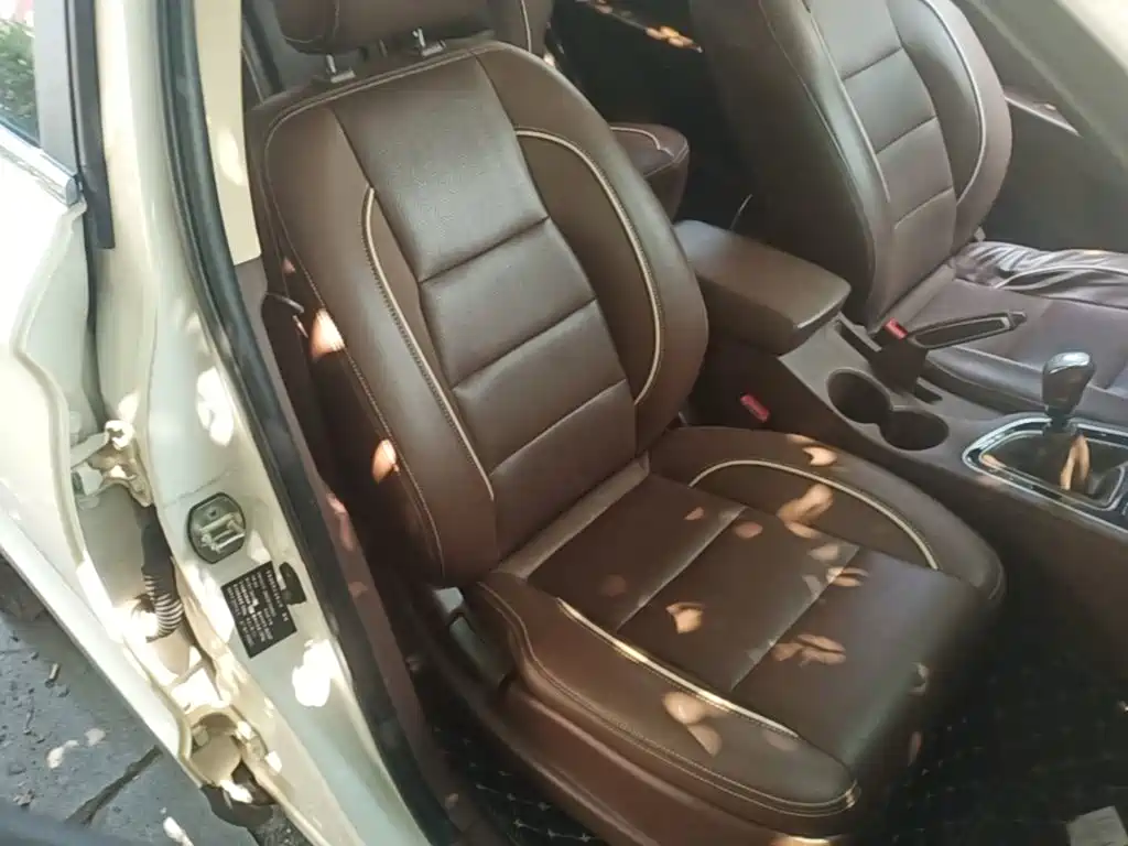 Leopaard CS10 2019 2017 2.0T Manual Excellence