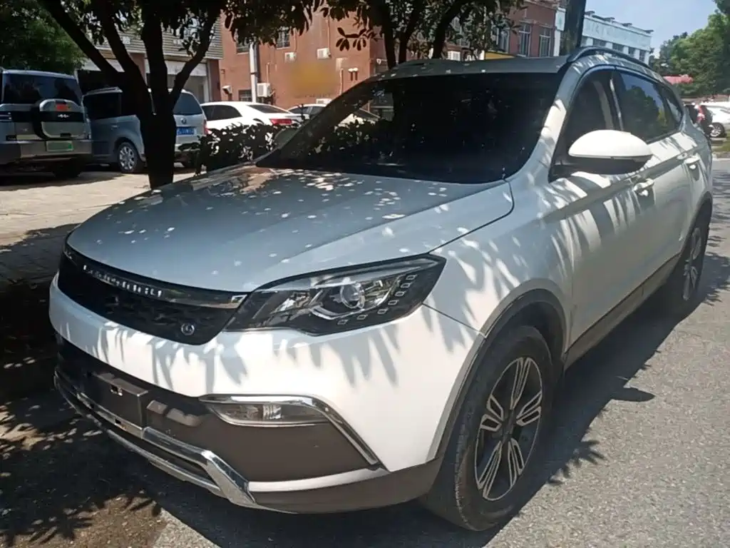 2019 Leopaard CS10