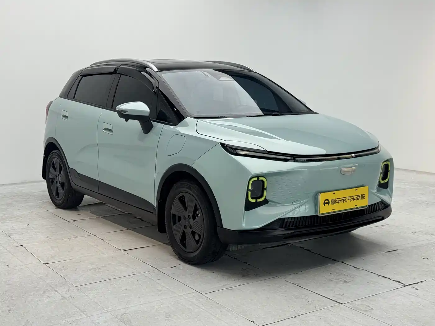 Geely Geometry E Firefly 2022 2022 401KM Thunder Tiger 4-Seater