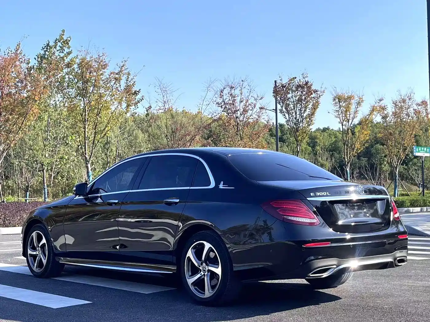 Mercedes-Benz E-Class 2019 E 300 L Sport Fashion фото 9