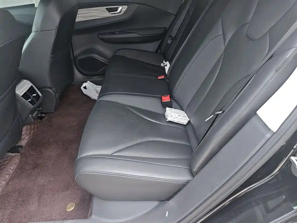 Hongqi E-QM5 2023 620km PLUS фото 9